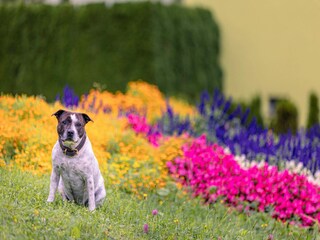 Ferienpark Eisenerz  37