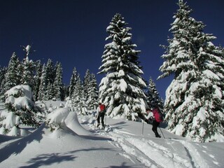 Parque de vacaciones Eisenerz Entorno 35