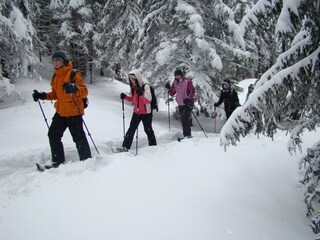 Vakantiepark Eisenerz Omgeving 27