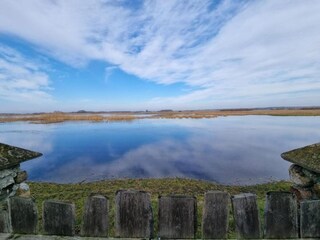 Maison de vacances Dolistowo Stare Environnement 23