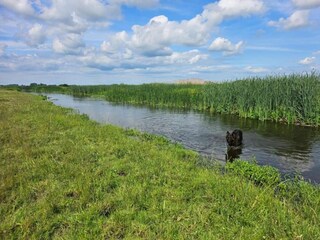 Vakantiehuisje Dolistowo Stare Omgeving 24