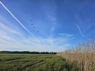 Vakantiehuisje Dolistowo Stare Omgeving 26