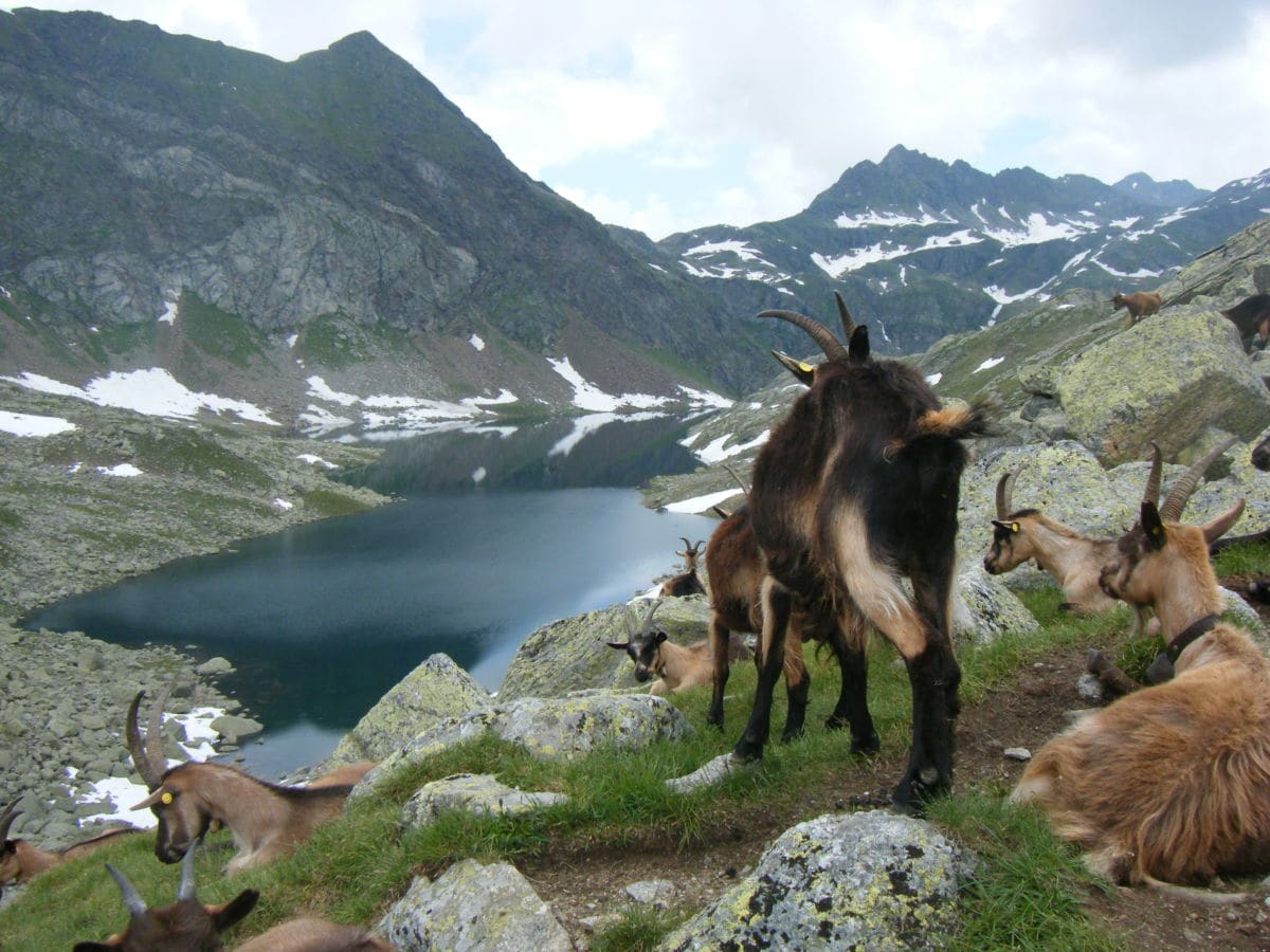 Blick auf die Spronser Seen