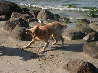 Appartamento Binz Ambiente 19