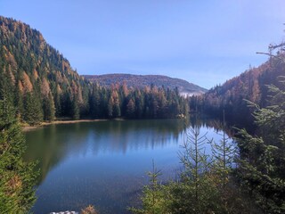 Chalet Stadl an der Mur Ambiente 40