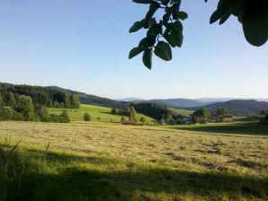 Holiday apartment Bauernhof Veit-Sepp-Hof Ferienwohnung "Der ruhige Waldblick"