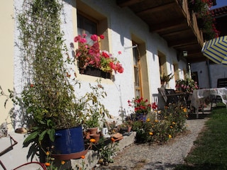 Terrasse mit Grün