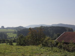 Bauernhof Veit-Sepp-Hof Ferienwohnung "Die Große Ebemerdige" - Drachselsried - image1