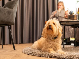 Vakantiepark Loosdrecht  40