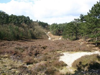 Vakantiepark Schoorl Omgeving 12