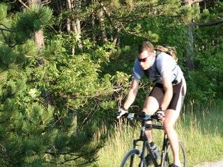 Vakantiepark Schoorl Omgeving 19