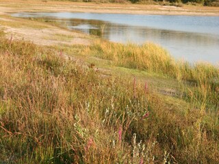 Vakantiepark Schoorl Omgeving 17
