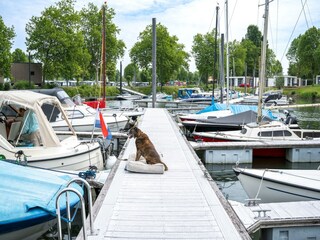 Vakantiepark Maurik Omgeving 15