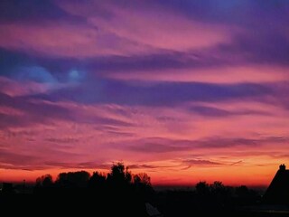 Vakantiepark Maurik Omgeving 30