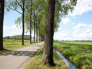 Ferienpark Maurik Umgebung 22
