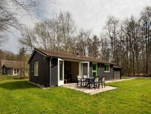 Holiday park Comfortable villa with a microwave, near a national park - Ruinen - image1