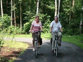 Ferienpark Ruinen Umgebung 14