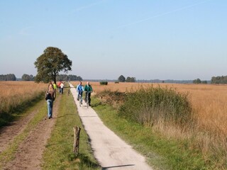 Ferienpark Ruinen Umgebung 17