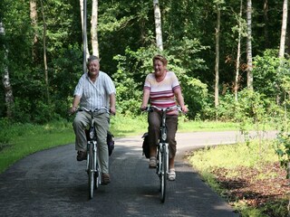 Vakantiepark Ruinen Omgeving 14