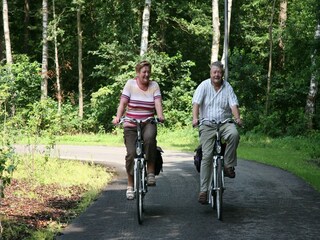 Vakantiepark Ruinen Omgeving 17