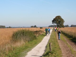 Ferienpark Ruinen Umgebung 18