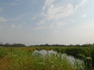 Vakantiepark Eernewoude Omgeving 22