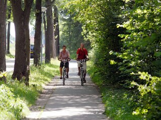 Parc de vacances Appelscha Environnement 20