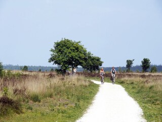 Parc de vacances Appelscha Environnement 16