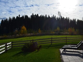 Randlage mit Waldblick