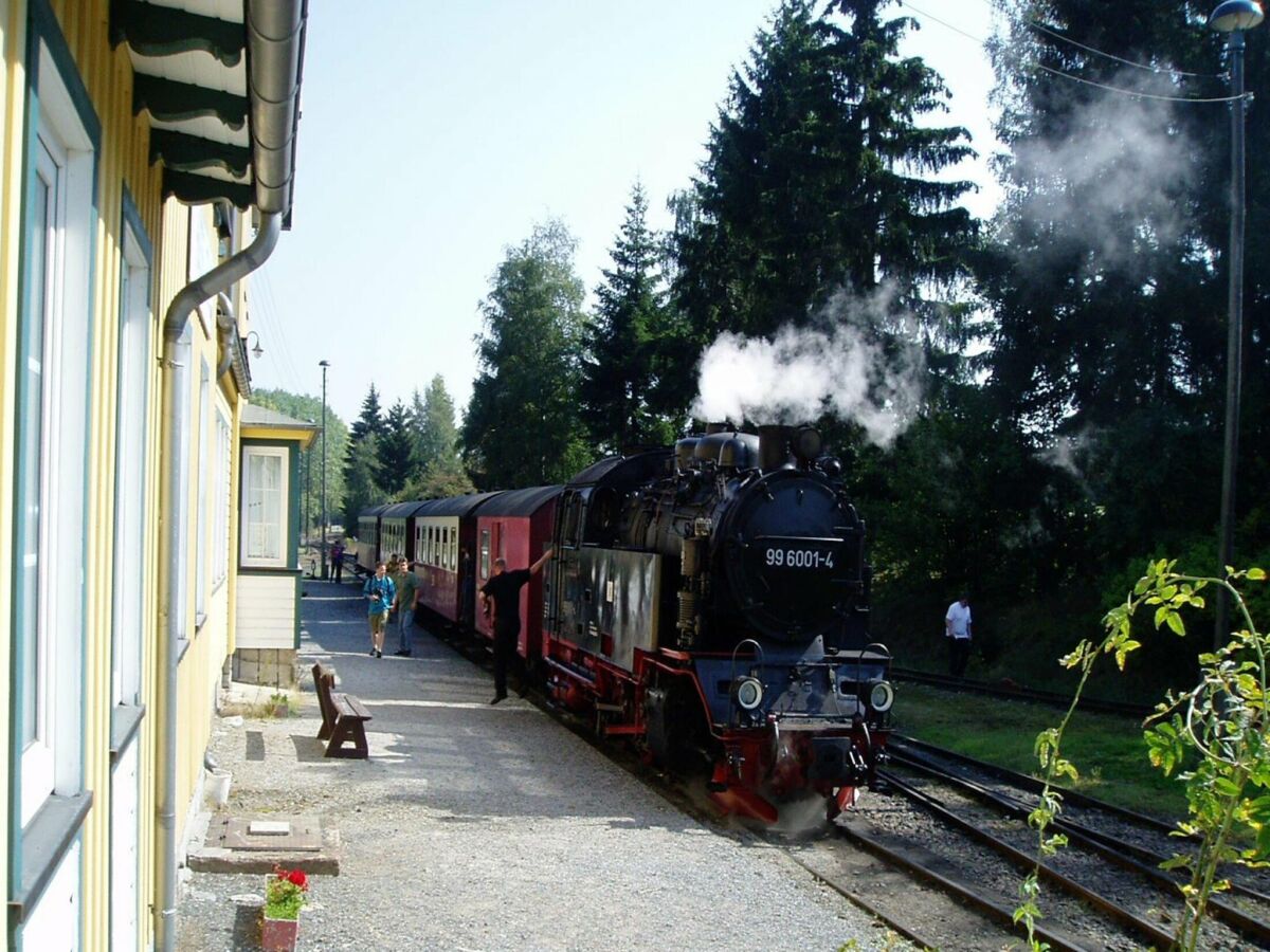 Ferienhaus Hasselfelde Außenaufnahme 11