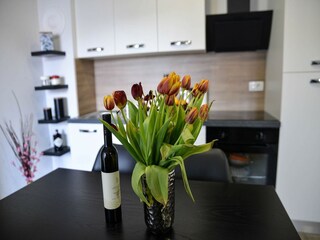 Apartamento Zadar Características 16