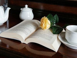 Casa per le vacanze Siena  38