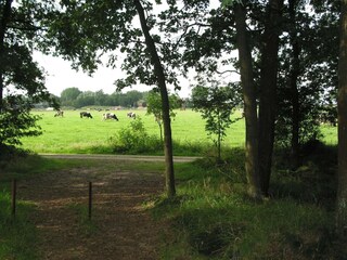 Holiday park Herpen Environment 21