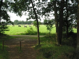 Ferienpark Herpen Umgebung 20
