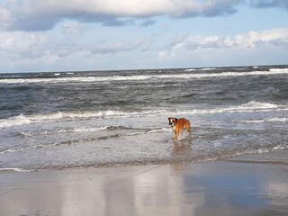 Casa per le vacanze Kongsmark  40