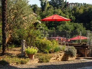 Blick in den Garten