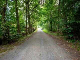 Vakantiehuis Vielsalm Omgeving 39