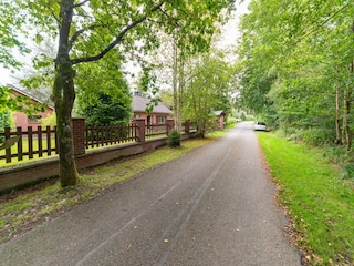 Ferienhaus Vielsalm Umgebung 36