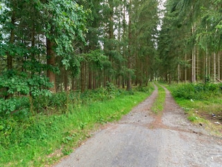 Ferienhaus Vielsalm Umgebung 35