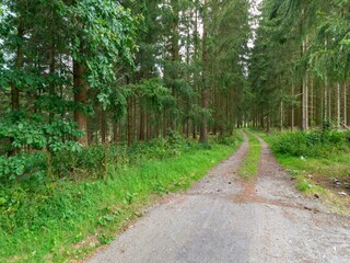 Vakantiehuis Vielsalm Omgeving 35