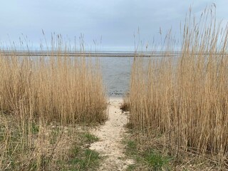am Wattenmeer bei Braderup