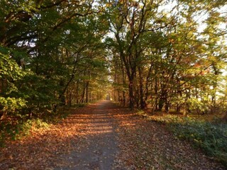 Casa de vacaciones Niepars Entorno 34