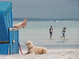 Vakantiepark Damp Omgeving 23