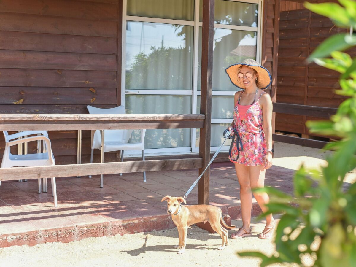 Casa per le vacanze Malgrat de Mar Registrazione all'aperto 1