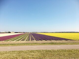 Vakantiehuis Dirkshorn Omgeving 39