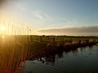 Casa per le vacanze Dirkshorn Ambiente 29