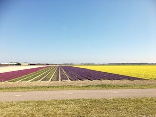Vakantiehuis Dirkshorn Omgeving 35