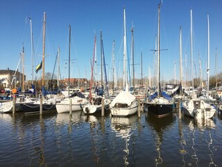 Vakantiehuis Dirkshorn Omgeving 31