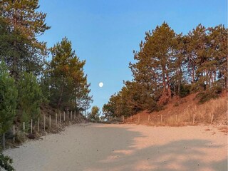 Vakantiehuis Dirkshorn Omgeving 22