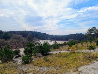 Vakantiehuis Dirkshorn Omgeving 25